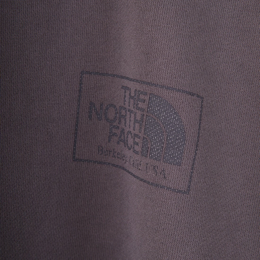 THE NORTH FACE PURPLE LABEL [ザ ノースフェイス パープルレーベル] 11オンスフィールドショートスリーブスウェット [N25SH042] AH AHGRAY