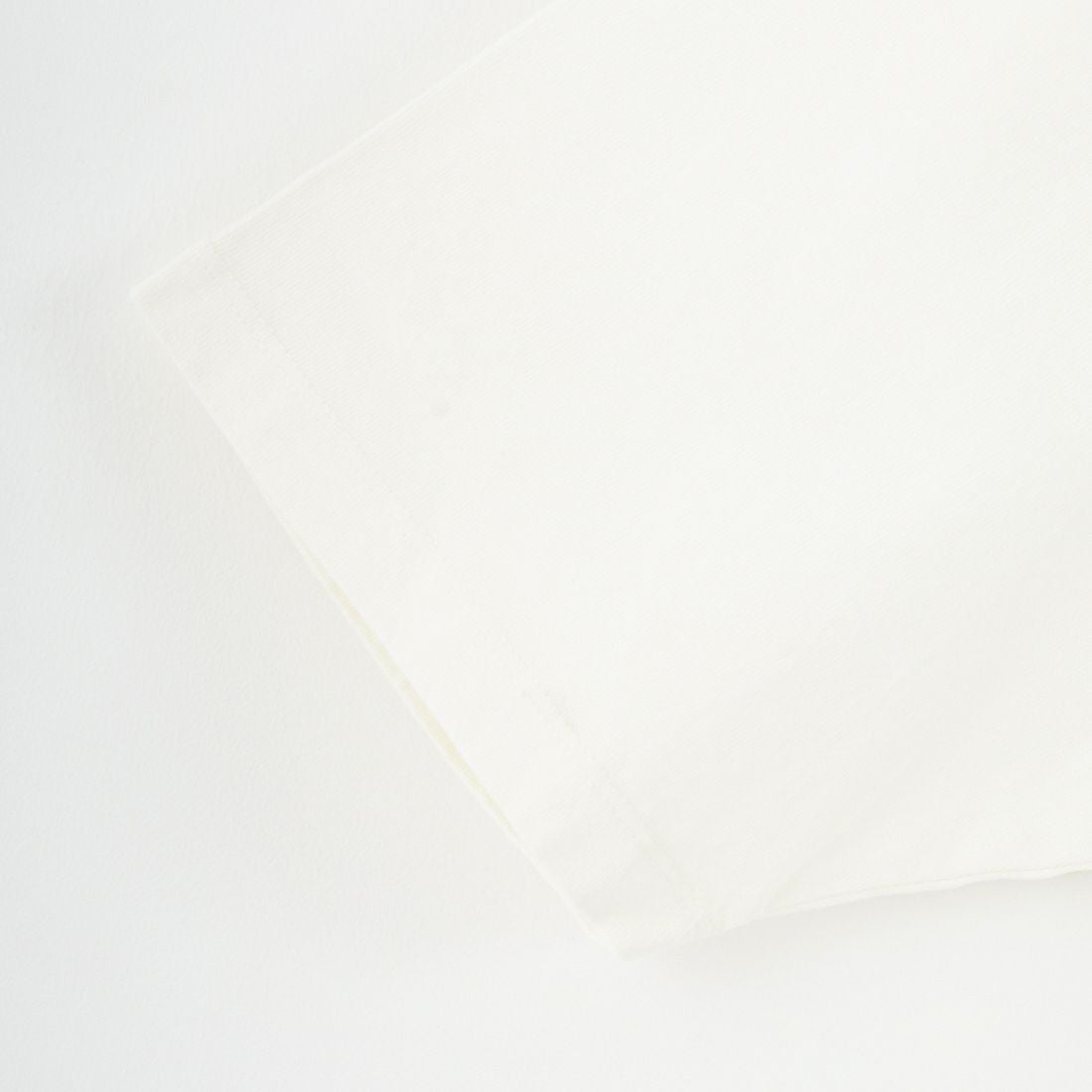 SCREEN STARS [スクリーンスターズ] 別注 サンフェードヴィンテージTシャツ [2522-432IN-JF] A WHITE