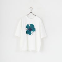 A WHTﾌﾗﾜｰ