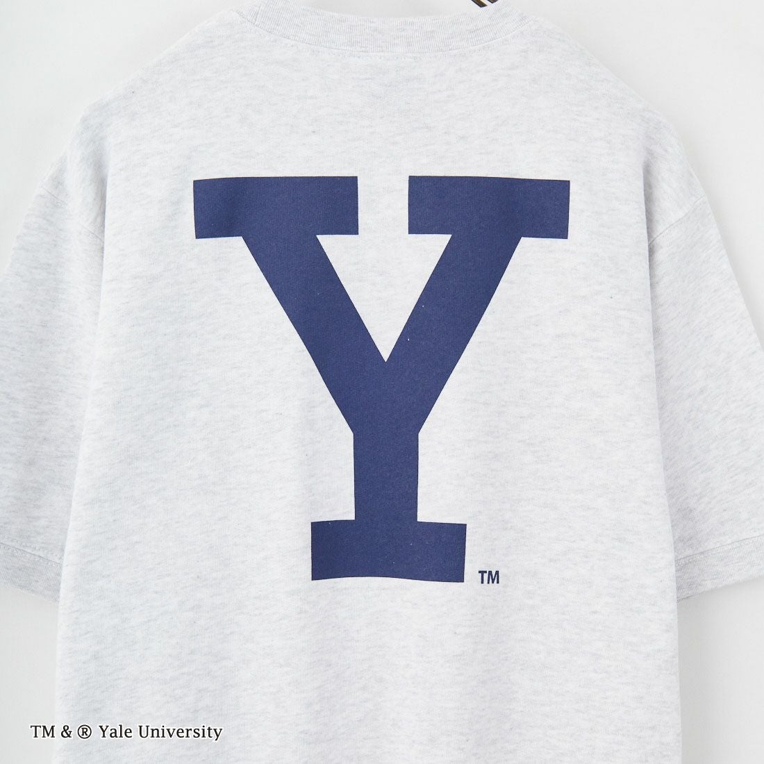 YALE [イェール] 別注 YALE カレッジロゴスウェットTシャツ [YA-01-JF] GRAY