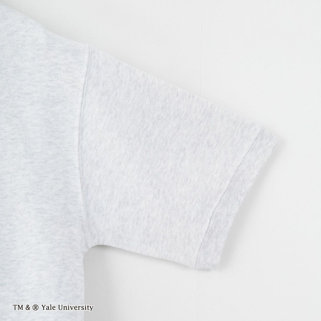 YALE [イェール] 別注 YALEロゴ バックプリントスウェットTシャツ [YA-02-JF] GRAY