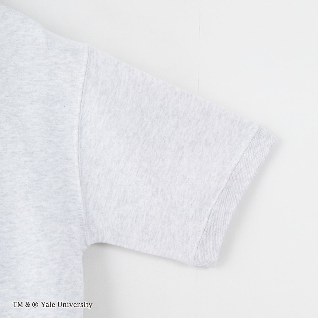 YALE [イェール] 別注 YALEロゴ バックプリントスウェットTシャツ [YA-02-JF] GRAY