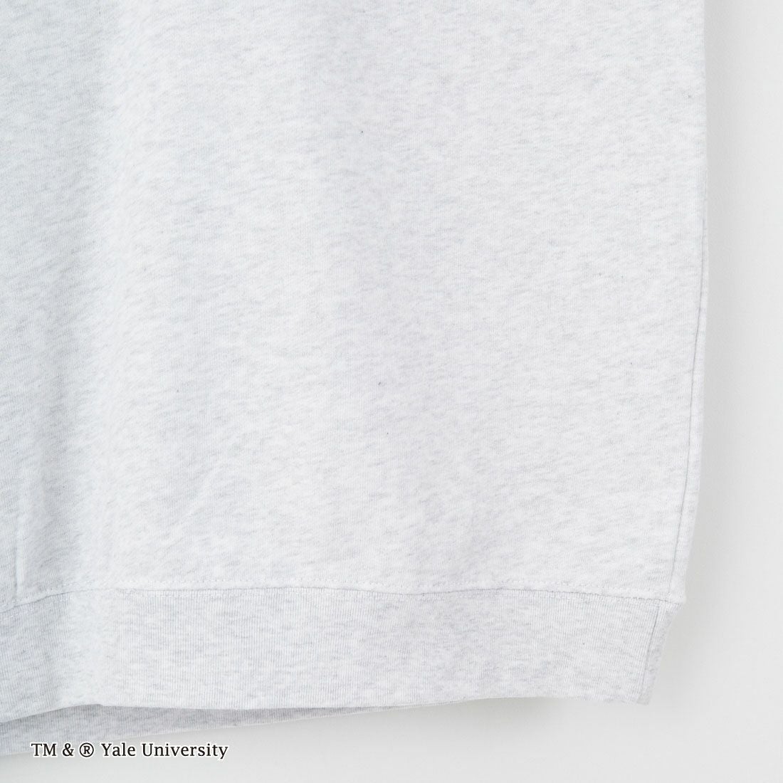 YALE [イェール] 別注 YALEロゴ バックプリントスウェットTシャツ [YA-02-JF] GRAY