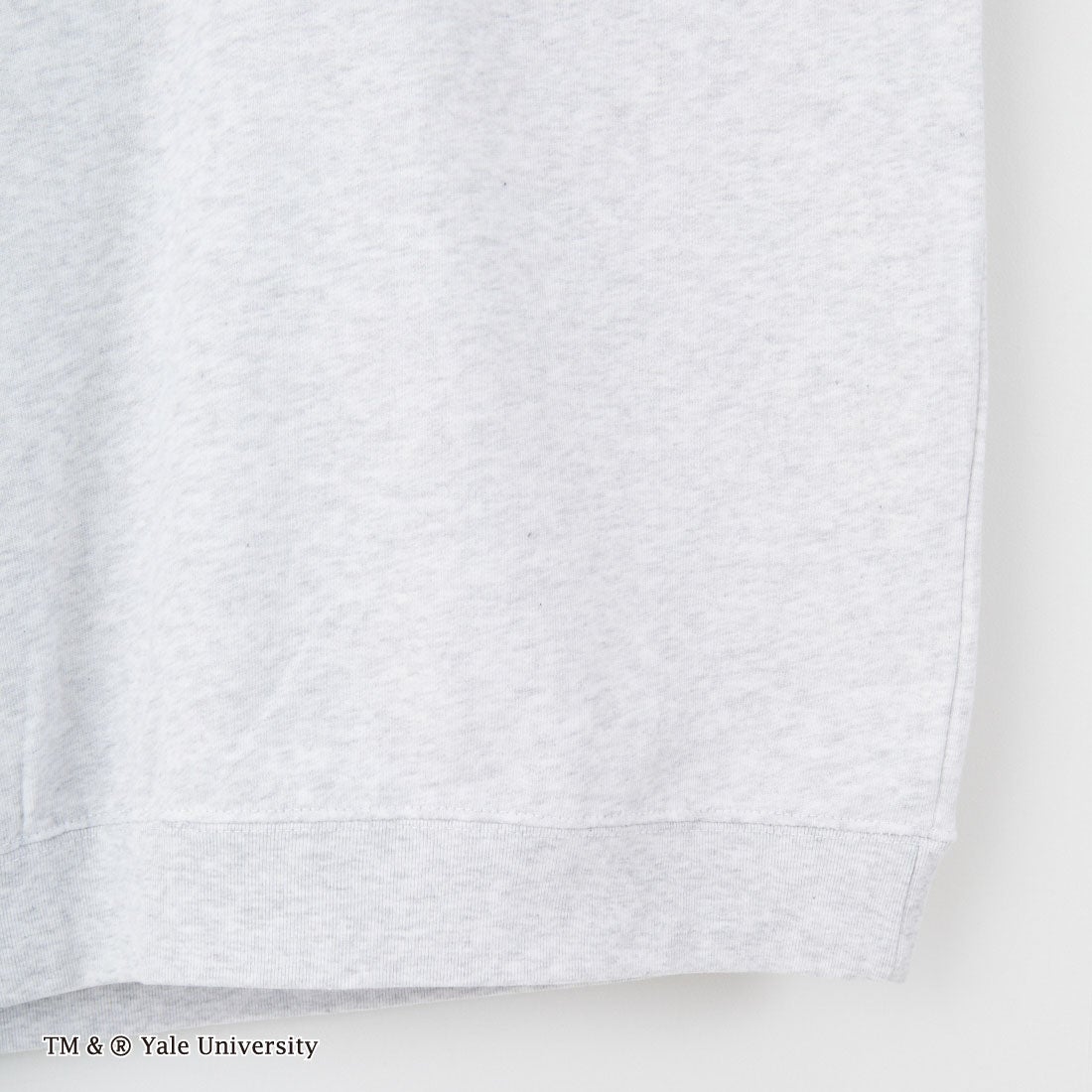 YALE [イェール] 別注 YALEロゴ バックプリントスウェットTシャツ [YA-02-JF] GRAY