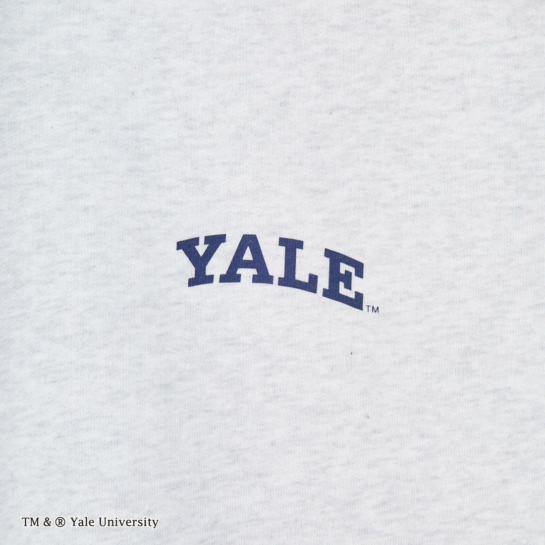 YALE [イェール] 別注 YALEロゴ バックプリントスウェットTシャツ [YA-02-JF] GRAY