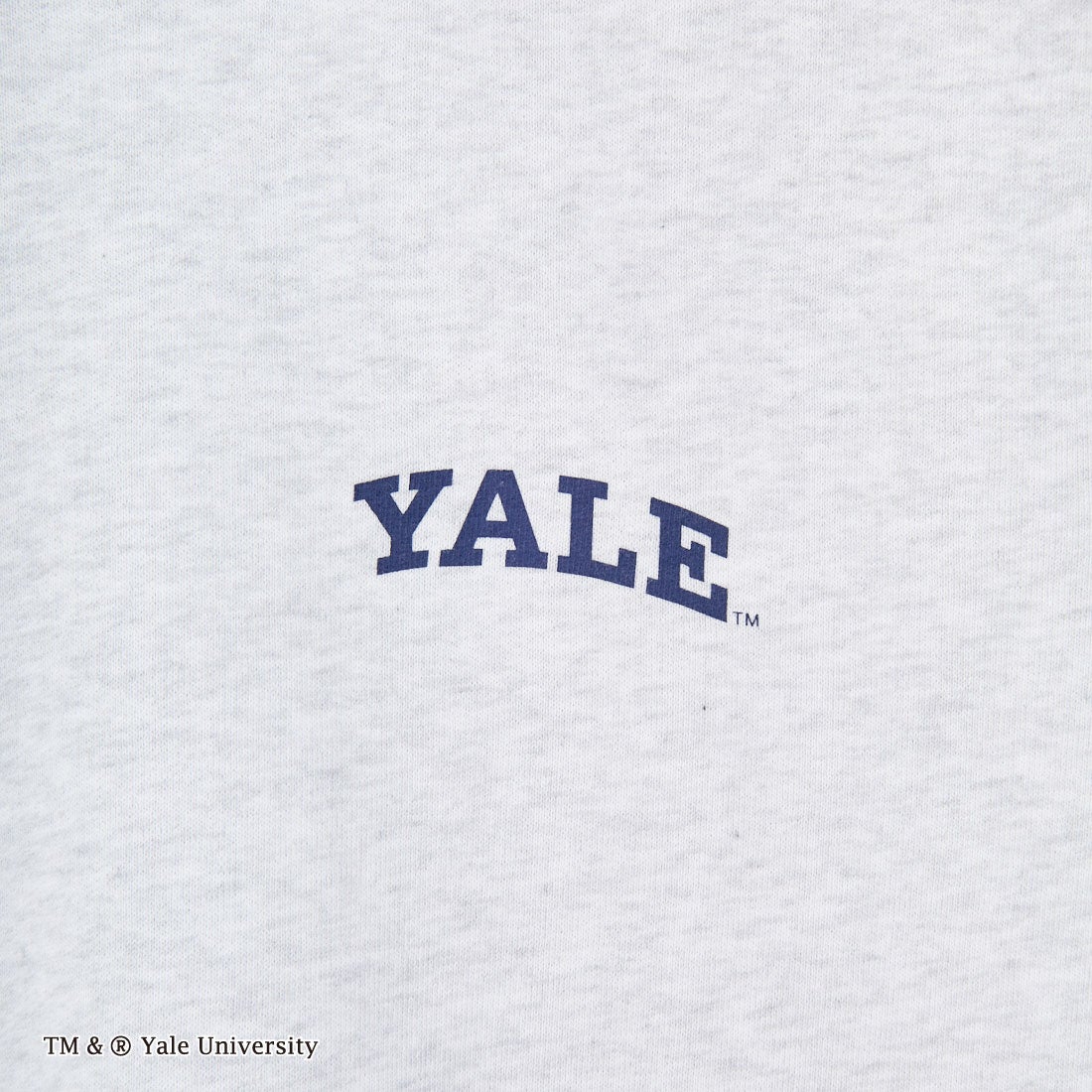 YALE [イェール] 別注 YALEロゴ バックプリントスウェットTシャツ [YA-02-JF] GRAY