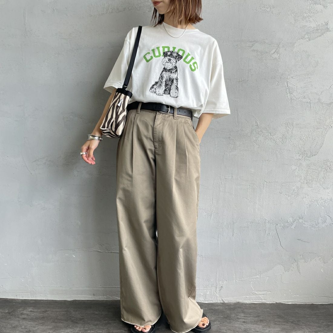 SCREEN STARS [スクリーンスターズ] 別注 ドッグ&キャットプリントTシャツ [2522-SSIN-JF] WHT DOG &&モデル身長：158cm 着用サイズ：F&&