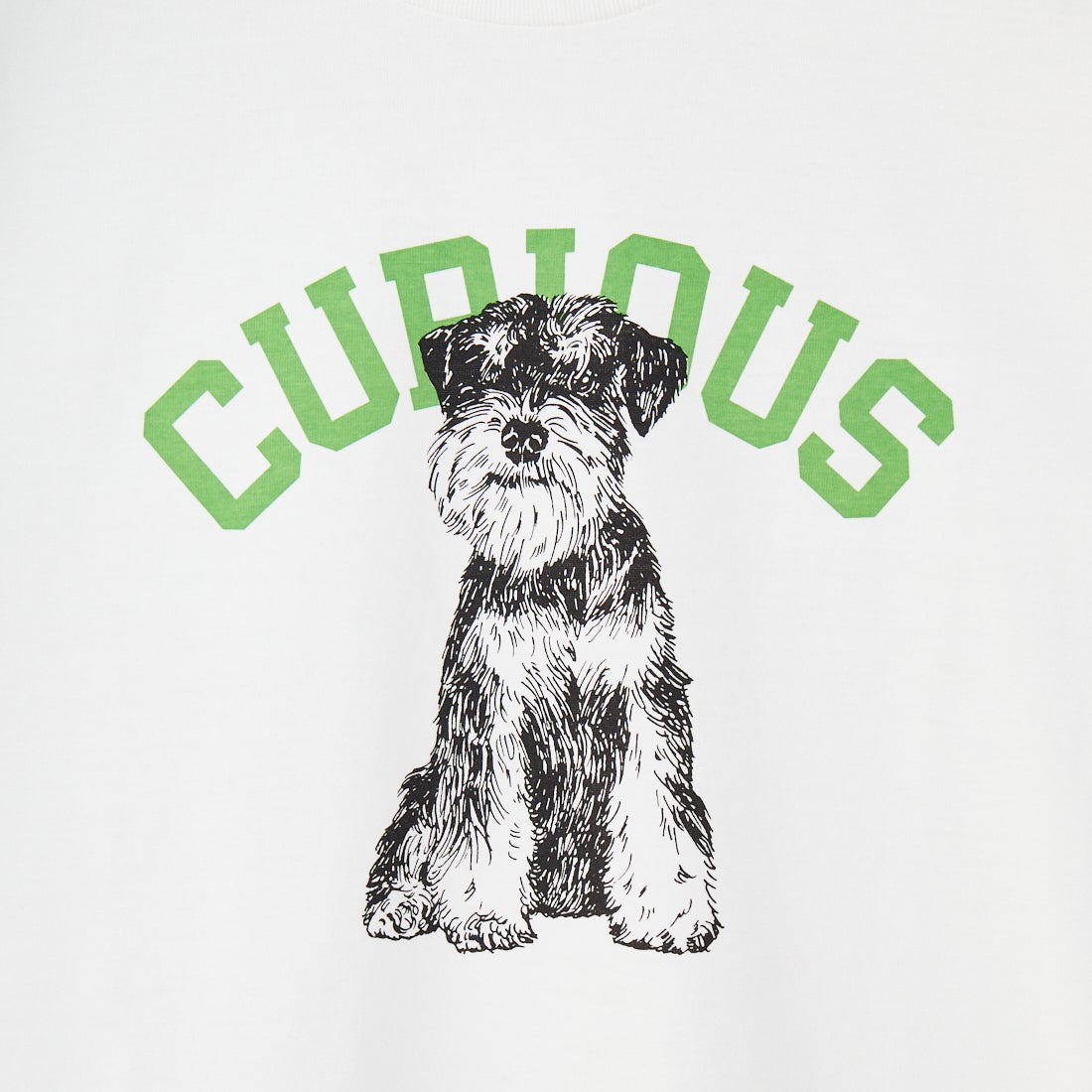 SCREEN STARS [スクリーンスターズ] 別注 ドッグ&キャットプリントTシャツ [2522-SSIN-JF] WHT DOG