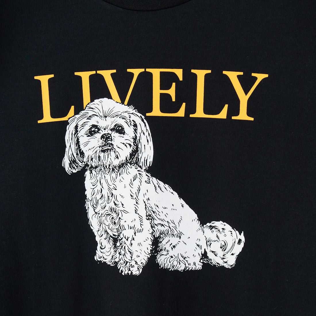 SCREEN STARS [スクリーンスターズ] 別注 ドッグ&キャットプリントTシャツ [2522-SSIN-JF] BLK DOG