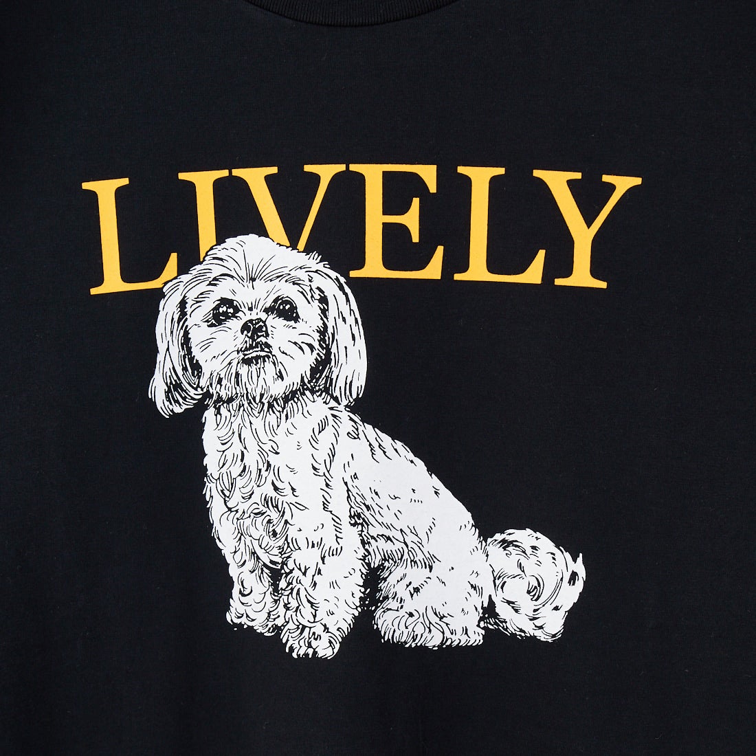 SCREEN STARS [スクリーンスターズ] 別注 ドッグ&キャットプリントTシャツ [2522-SSIN-JF] BLK DOG