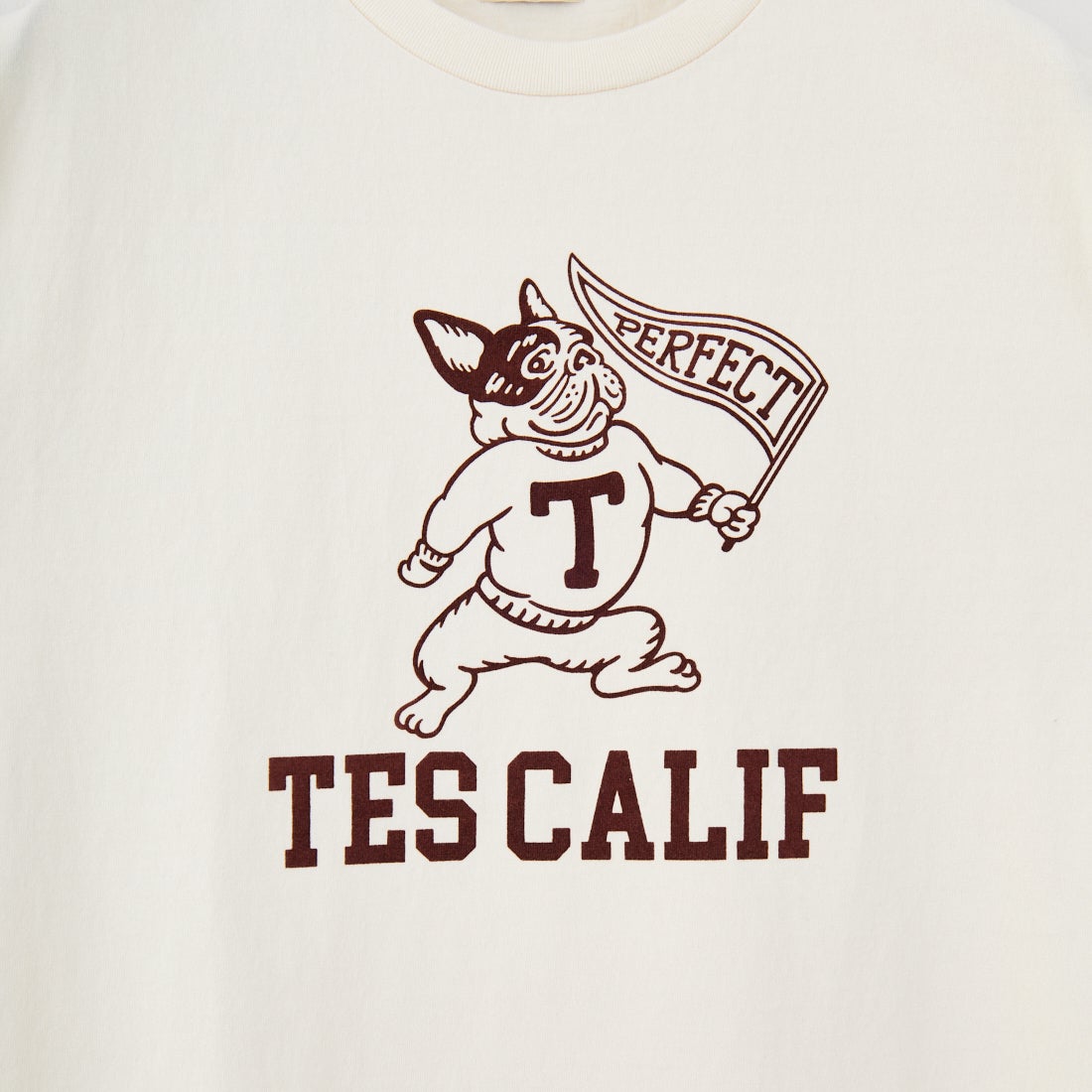 The Endless Summer [エンドレスサマー] カレッジロゴ フロッキープリントTシャツ [FH-25574337] 05 IVORY