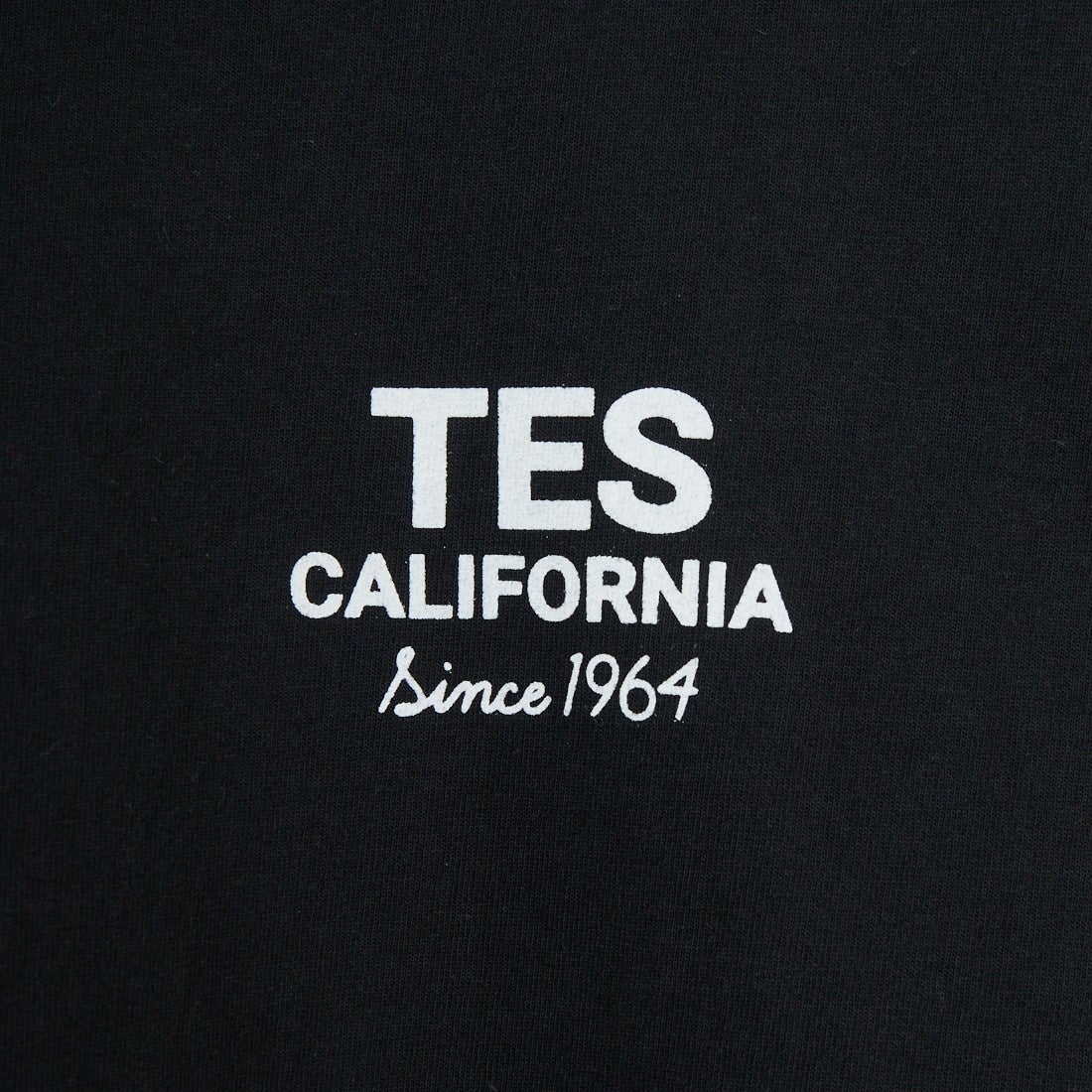 The Endless Summer [エンドレスサマー] 別注 BUHI HUNTINGTON バックプリントTシャツ [FH-25574515-JF] BLACK