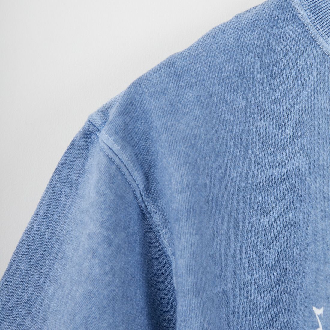 Good On [グッドオン] Birds ショートスリーブTシャツ [OLSS1289P] P-AJISAI