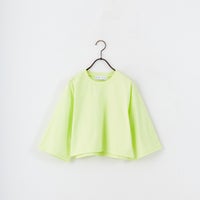 040 LIME
