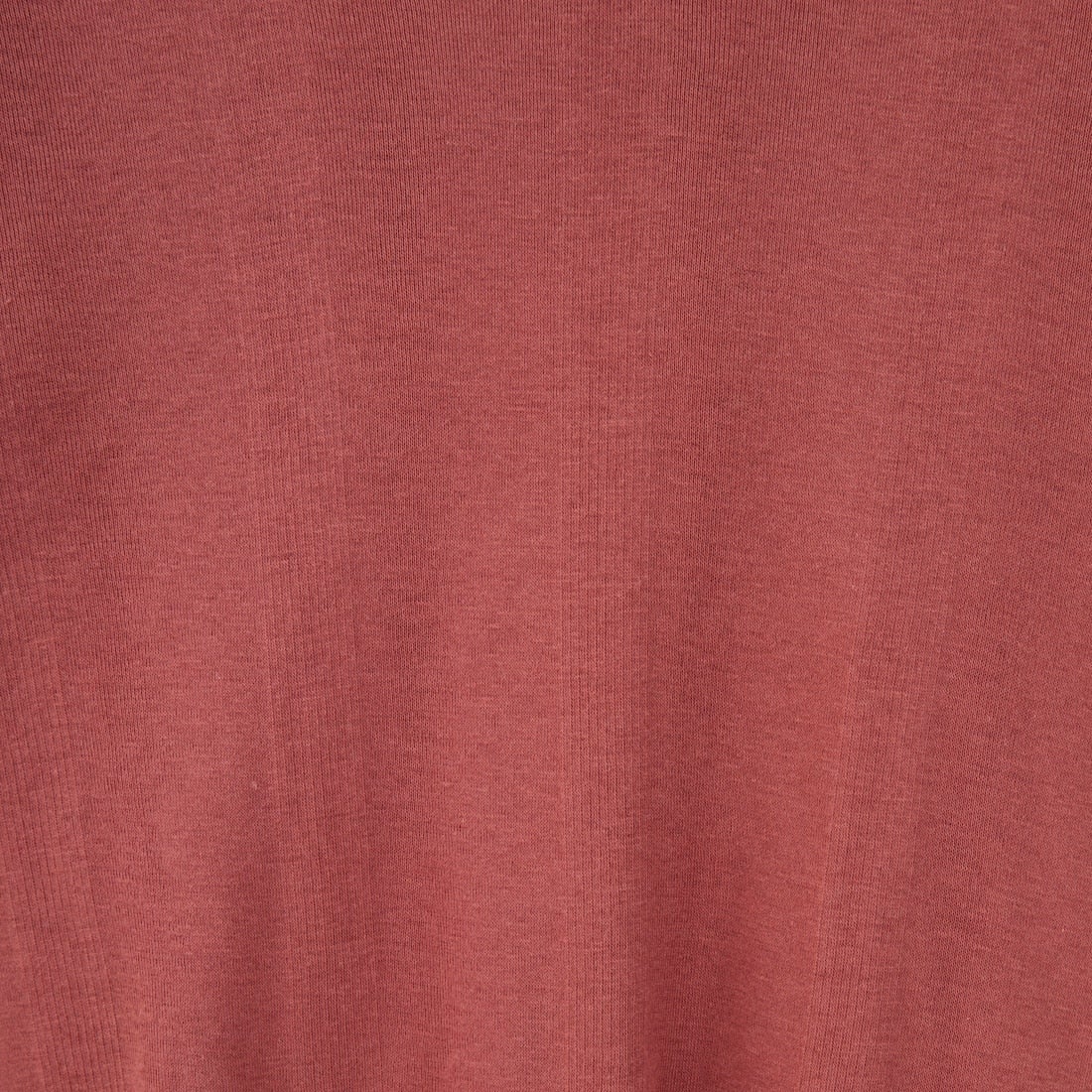 Robert P.Miller [ロバートピーミラー] 別注 パネルリブ シアータートルTシャツ [RM254-2116IN-JF] SEPIA