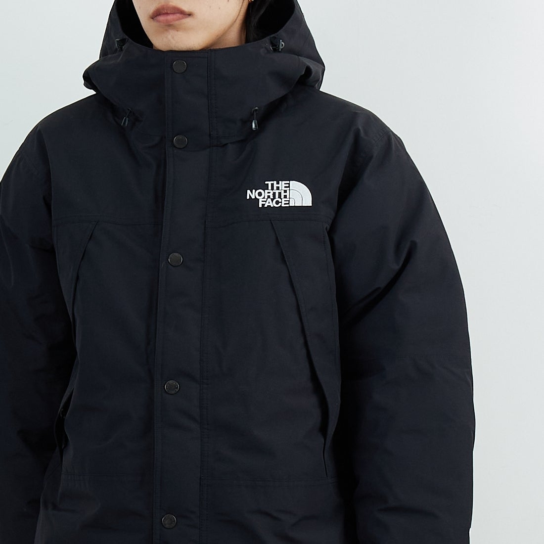 THE NORTH FACE [ザ ノースフェイス] マウンテンダウンジャケット