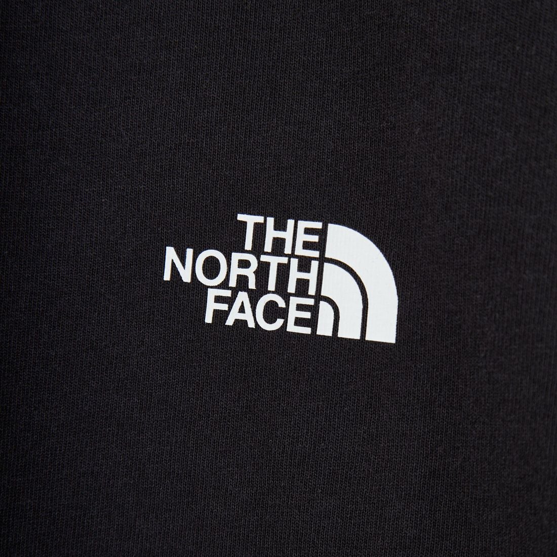 THE NORTH FACE [ザ ノースフェイス] ロングスリーブ スクエアデジタルグラフィックTシャツ [NT82545] K