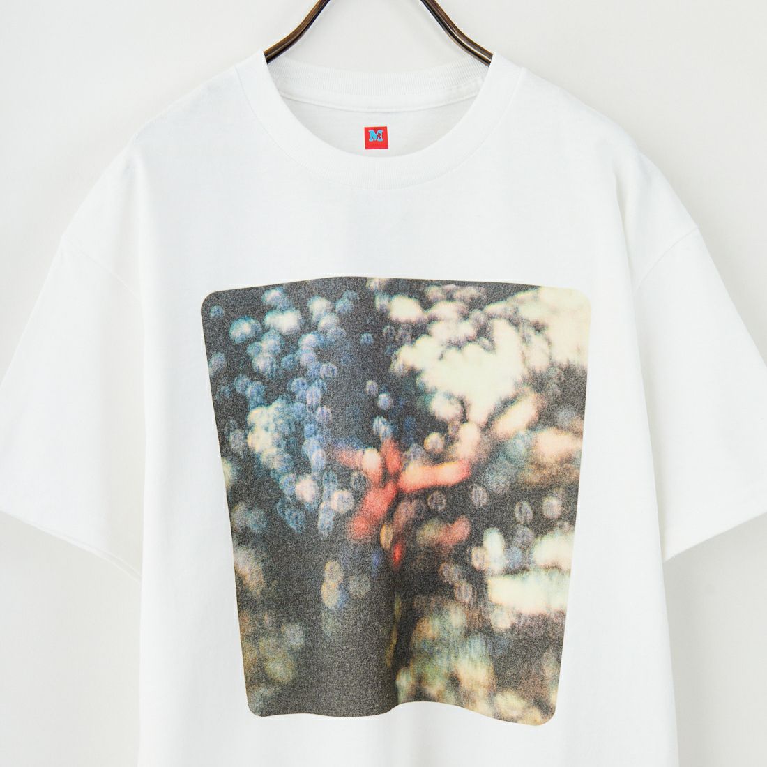 BLUESCENTRIC [ブルースセントリック] ピンクフロイド グラフィックTシャツ [BLC110094000] WHITE