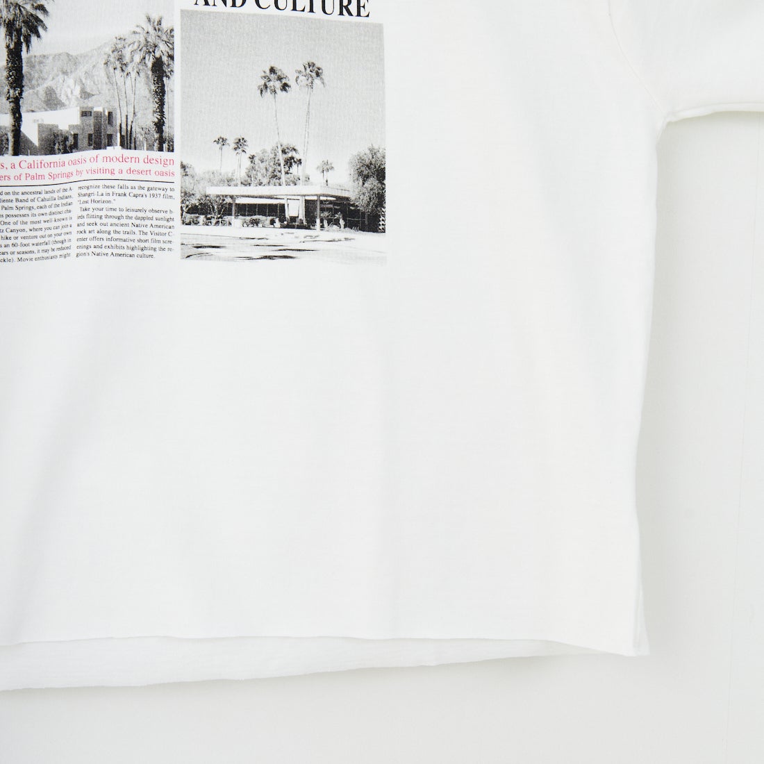 SCREEN STARS [スクリーンスターズ] フォトプリントTシャツ [2522-SSIN2] A WHITE