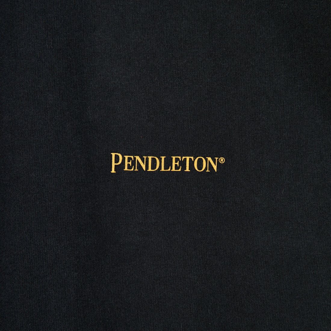 PENDLETON [ペンドルトン] バックプリント ロングスリーブTシャツ [5475-1015] 49 BLACK H