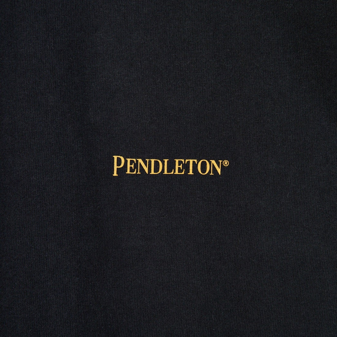 PENDLETON [ペンドルトン] バックプリント ロングスリーブTシャツ [5475-1015] 49 BLACK H