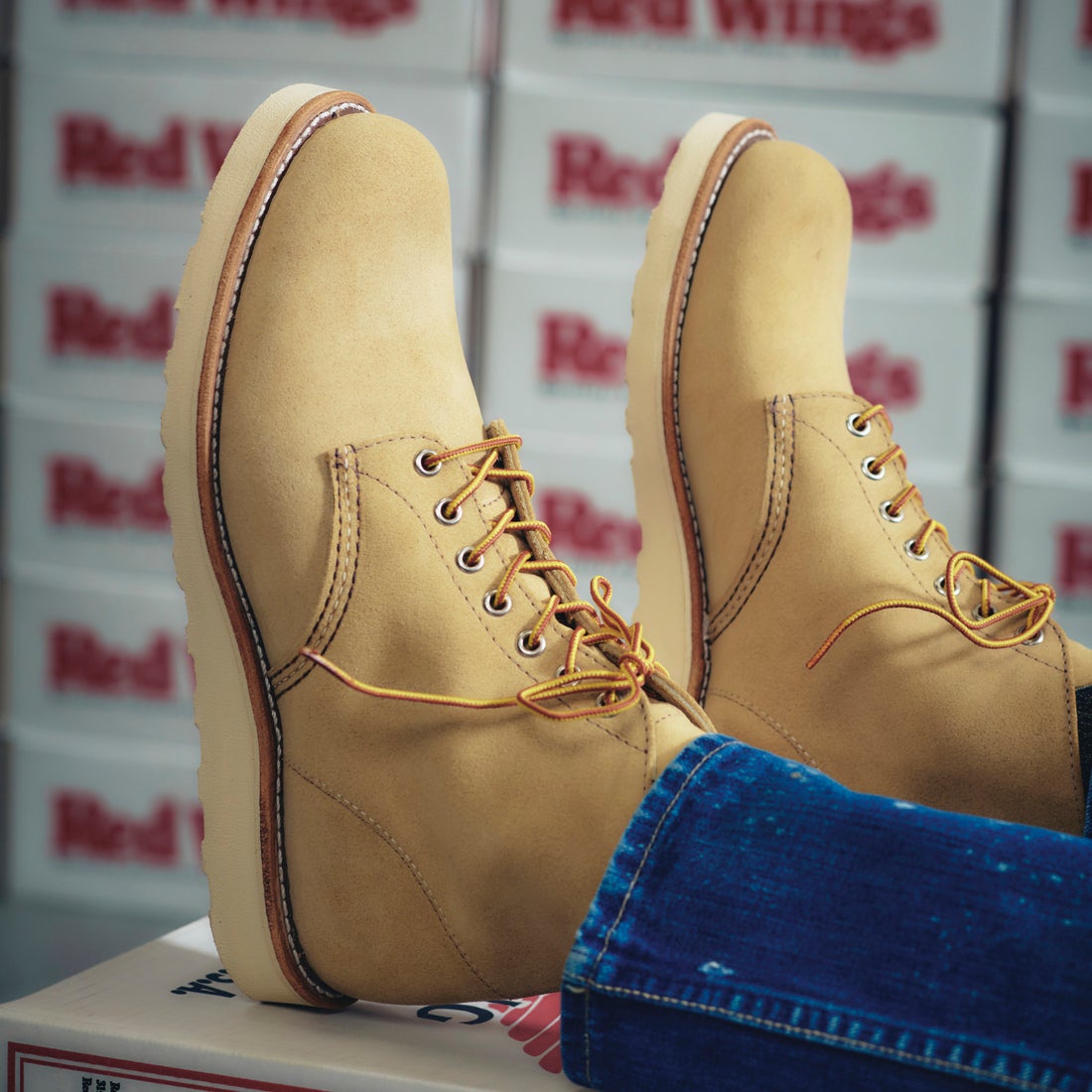 RED WING [レッドウィング] 6インチ クラシックラウンド Dワイズ [8167] ﾎｰｿｰﾝ ｱﾋﾞﾘ