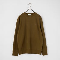 DPD BROWN