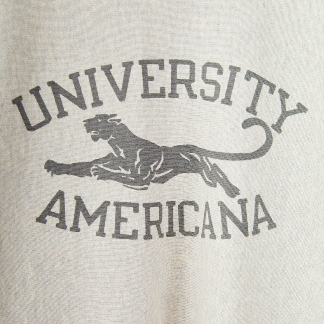 Americana [アメリカーナ] リバースウィーブ クルーネックスウェット [BRF-771A-2] ｵｰﾄﾐｰﾙ