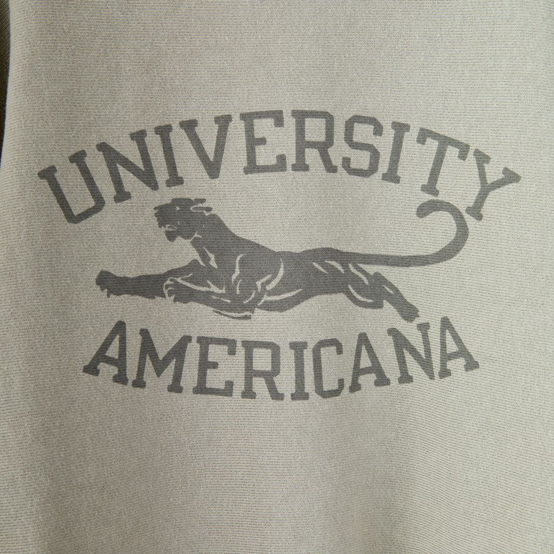 Americana [アメリカーナ] リバースウィーブ クルーネックスウェット [BRF-771A-2] ｸﾞﾚｰｼﾞｭ