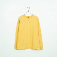 MUSTARD