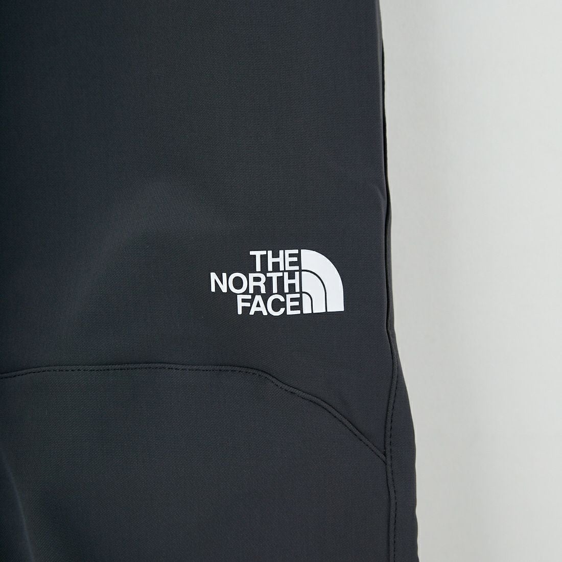 THE NORTH FACE [ザ ノースフェイス] アルパインライトパンツ [NB82501] AG