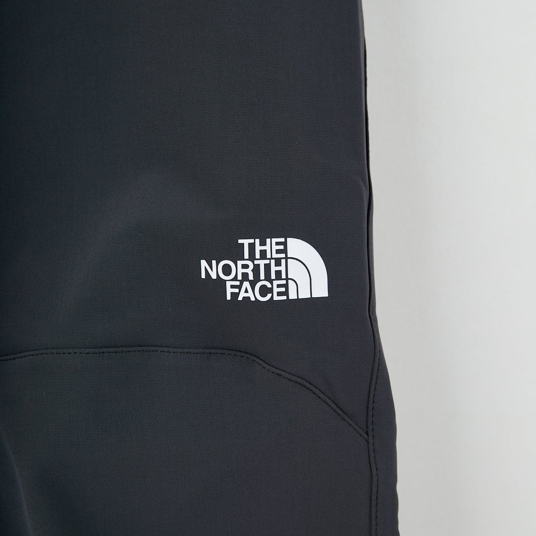 THE NORTH FACE [ザ ノースフェイス] アルパインライトパンツ [NB82501] AG