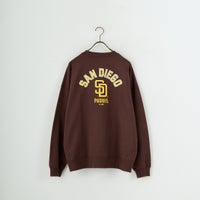 BROWN SD