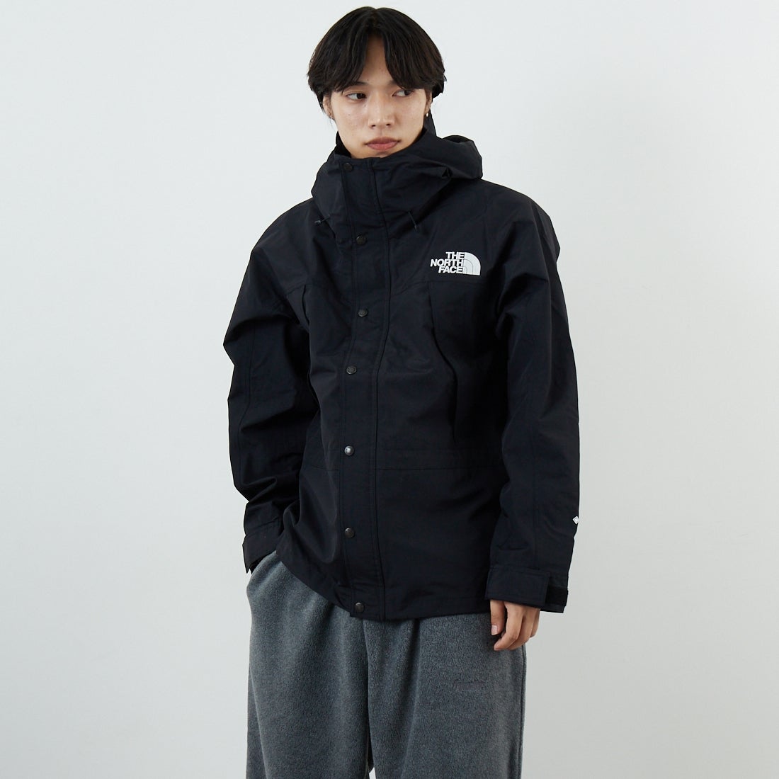 THE NORTH FACE [ザ ノースフェイス] マウンテンライトジャケット