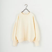 103 ｱｲﾎﾞﾘｰ