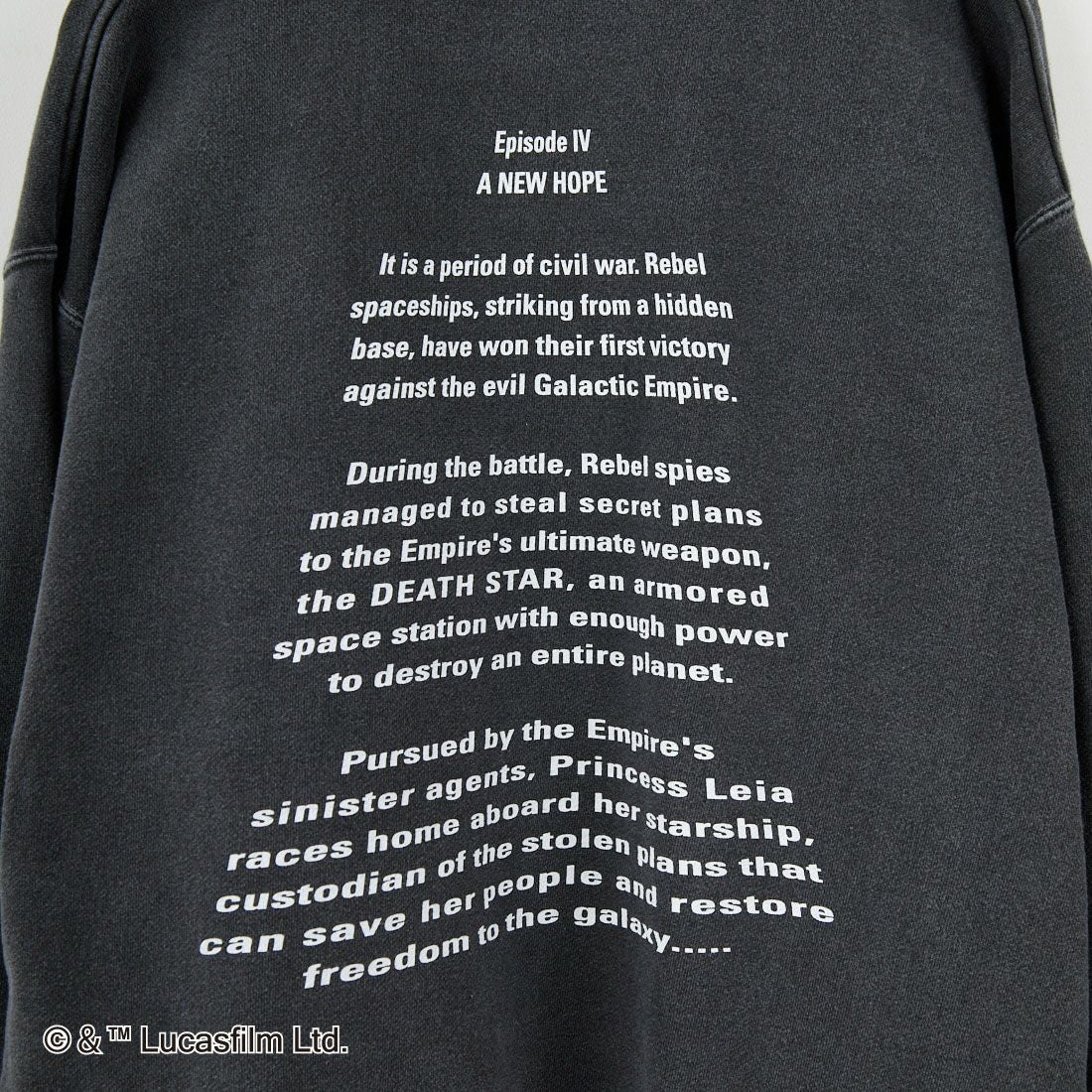 GOOD ROCK SPEED [グッドロックスピード] 別注 / STAR WARS / プリントスウェット [INTN-057-JF] CHARCOAL