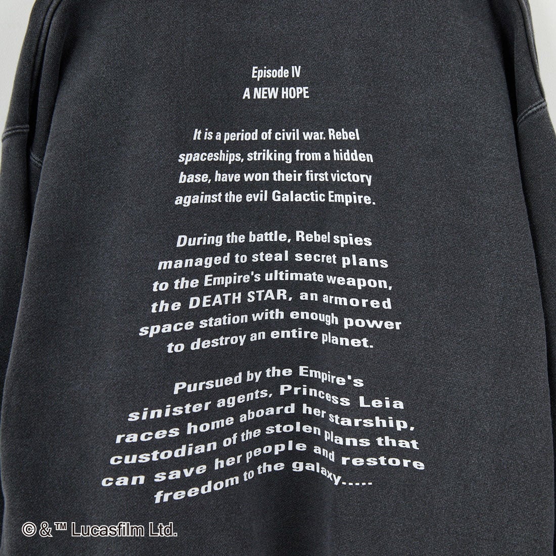 GOOD ROCK SPEED [グッドロックスピード] 別注 / STAR WARS / プリントスウェット [INTN-057-JF] CHARCOAL