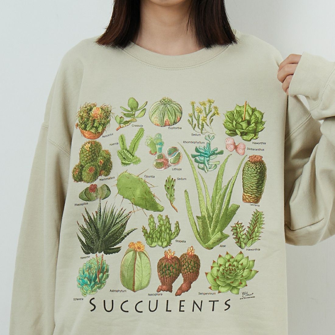 Atalas Screen Printing [アトラス スクリーン プリンティング] サキュレントプリントスウェット [SUCCULENTS] SAND &&モデル身長：162cm 着用サイズ：L&&