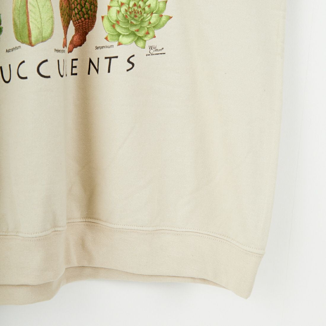 Atalas Screen Printing [アトラス スクリーン プリンティング] サキュレントプリントスウェット [SUCCULENTS] SAND