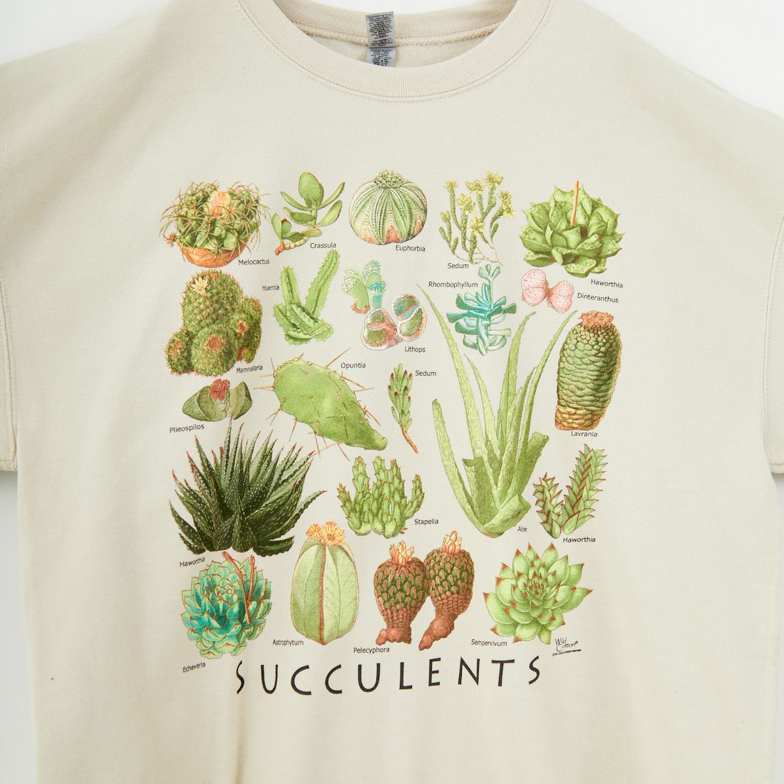 Atalas Screen Printing [アトラス スクリーン プリンティング] サキュレントプリントスウェット [SUCCULENTS] SAND