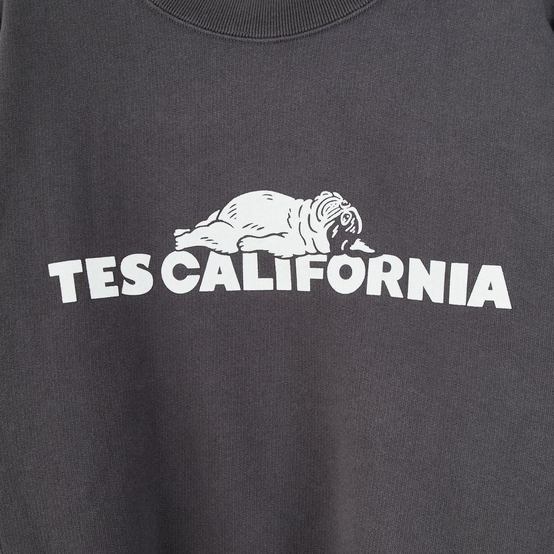 The Endless Summer [エンドレスサマー] TES SAME オールドクルーネックスウェット [FH-25774321] 02 CHARCOA