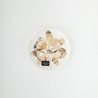 05 ｺﾞｰﾙﾄﾞ