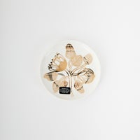 05 ｺﾞｰﾙﾄﾞ