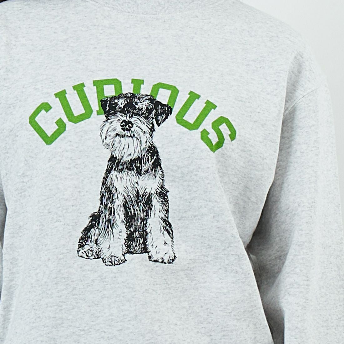 SCREEN STARS [スクリーンスターズ] 別注 アニマルプリント オーバーサイズスウェット [2523-IN2-JF] ASH &&モデル身長：162cm 着用サイズ：F&&