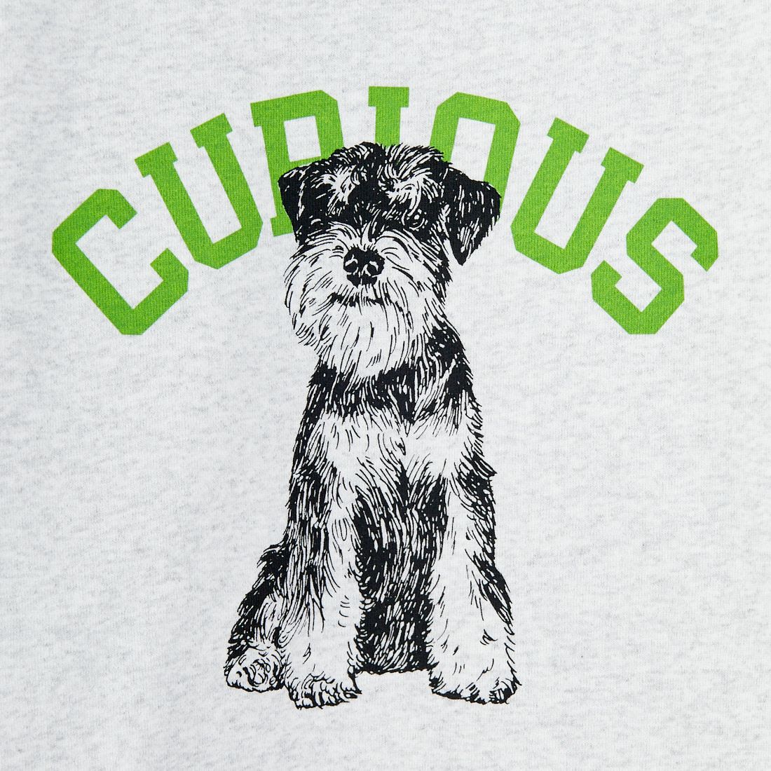 SCREEN STARS [スクリーンスターズ] 別注 アニマルプリント オーバーサイズスウェット [2523-IN2-JF] ASH