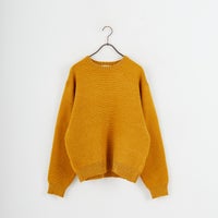 41 MUSTARD