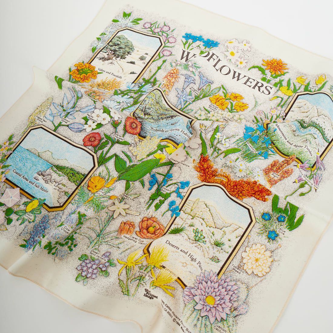 THE PRINTED IMAGE [プリンテッドイメージ] バンダナ [BANDANAS] 361 WILDFL