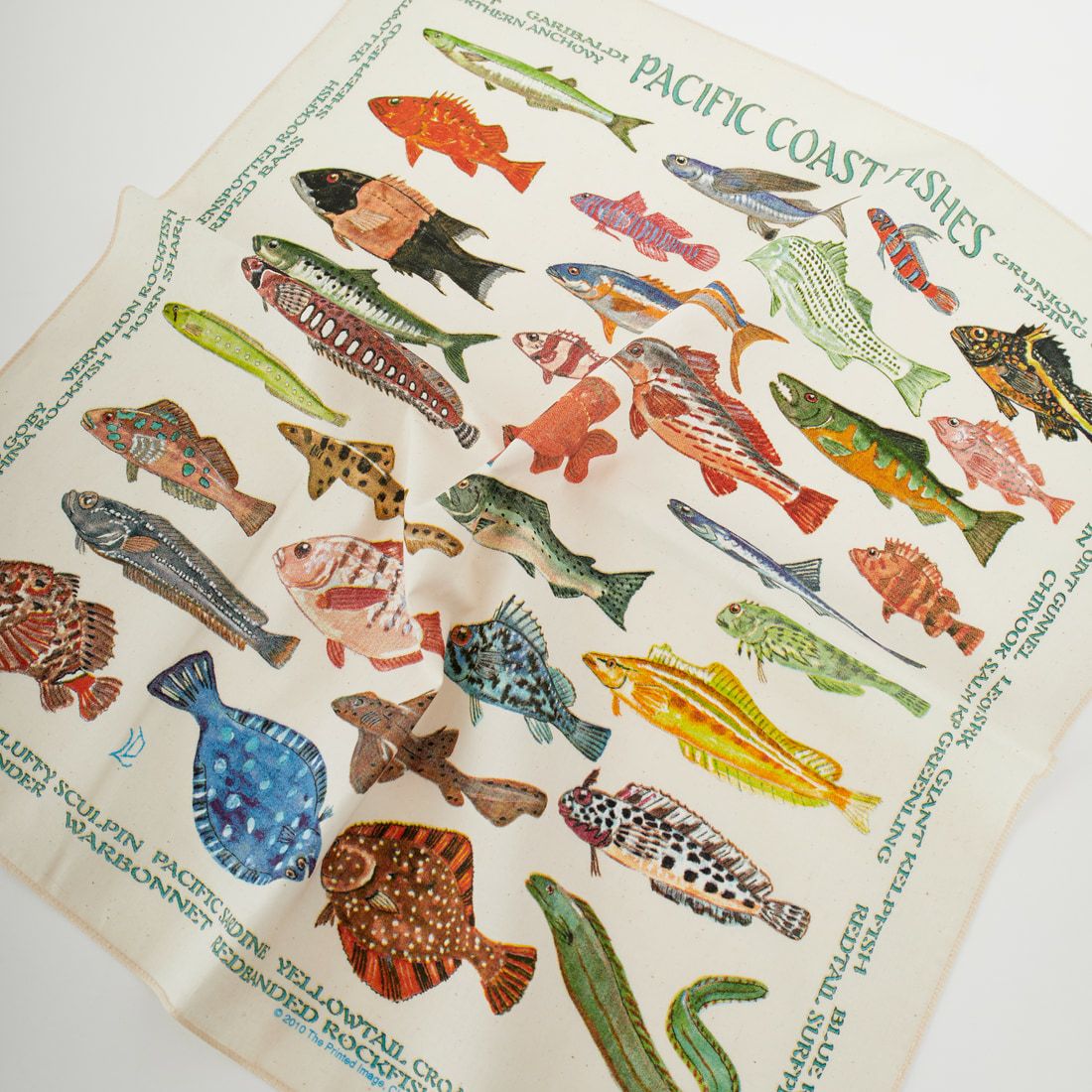 THE PRINTED IMAGE [プリンテッドイメージ] バンダナ [BANDANAS] 368 PACIFI