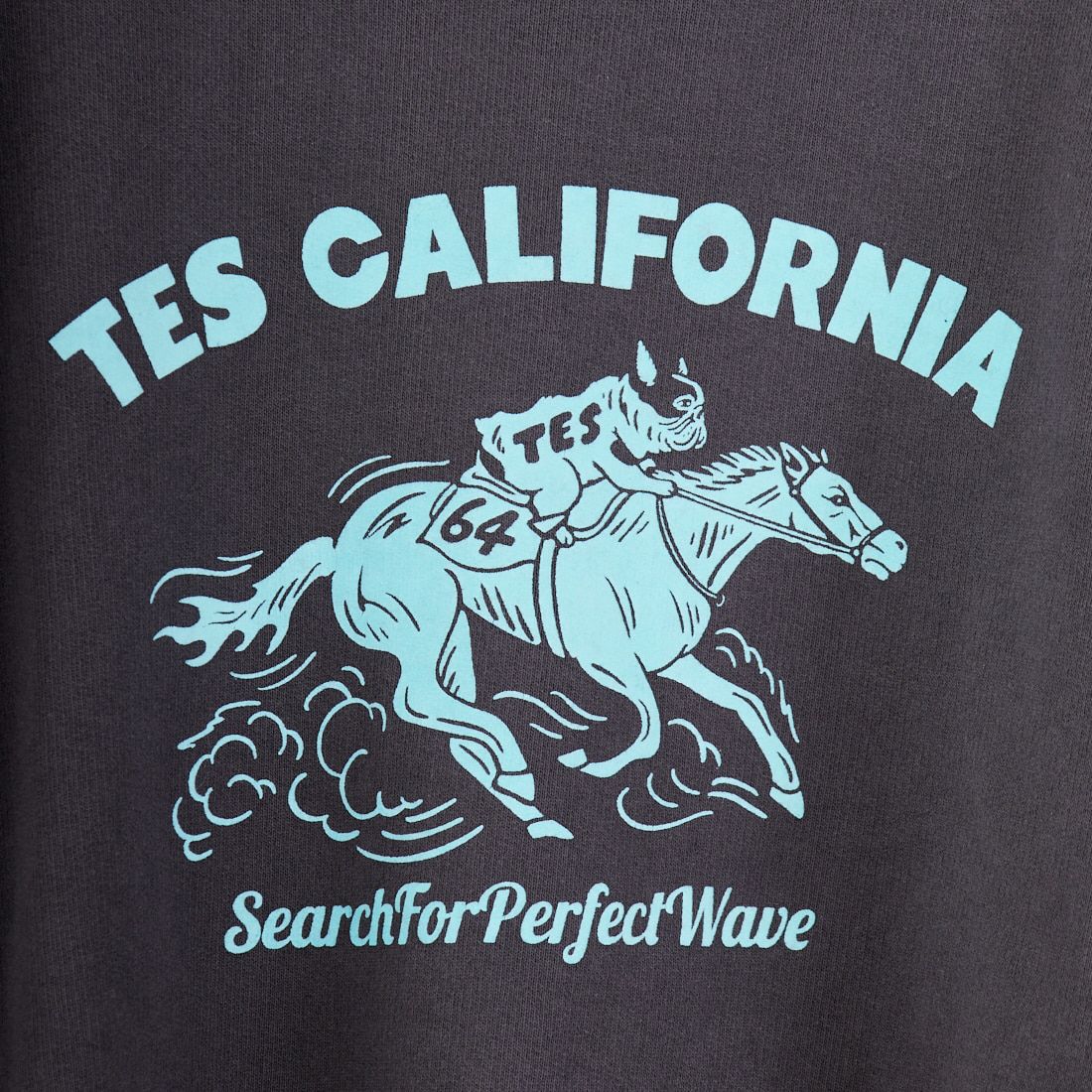 The Endless Summer [エンドレスサマー] 2026 ホースライドフロッキークルーネックスウェット [FH-26374302] 02 CHARCOA