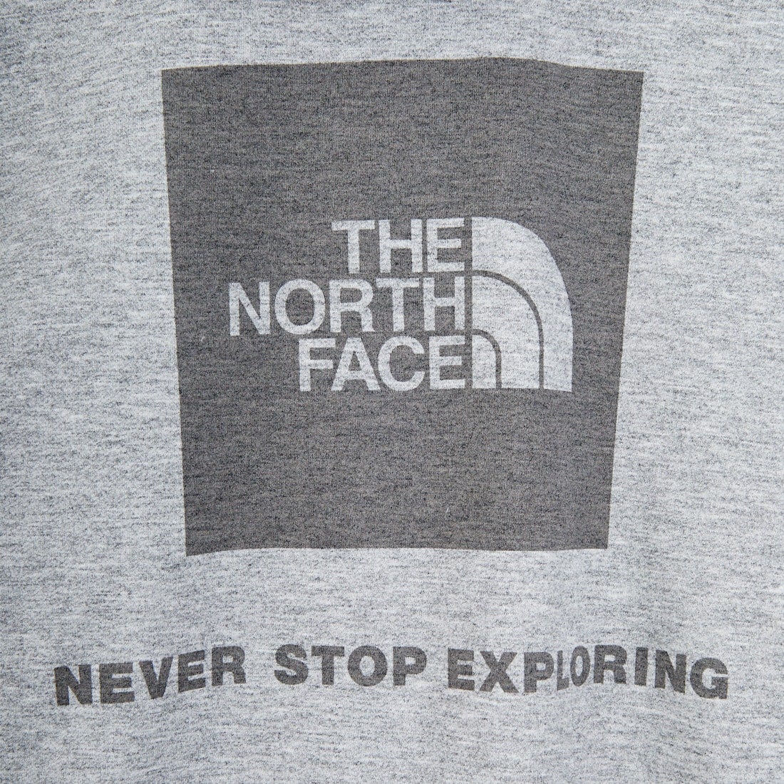 THE NORTH FACE [ザ ノースフェイス] バックスクエアロゴフーディ [NT62533] Z